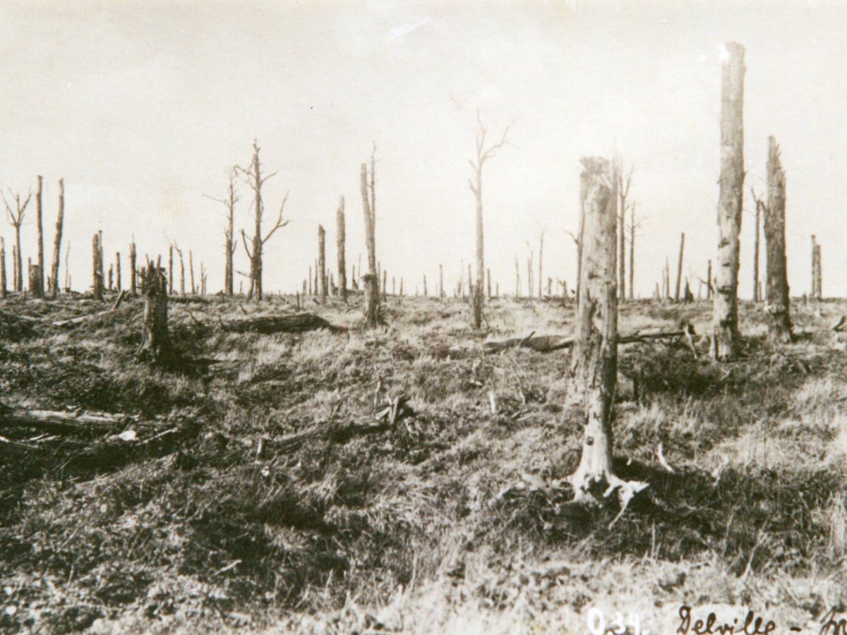 QnA Special: On The&nbsp;Battlefields