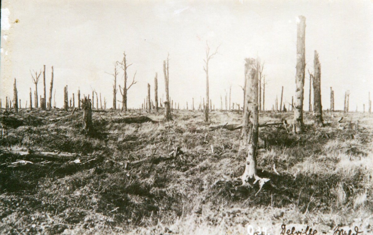 QnA Special: On The&nbsp;Battlefields